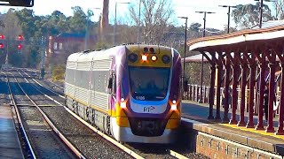 VLine VLocity passenger train arrives at Castlemaine Railway Station on 25 June 2024 in Victoria [upl. by Mossolb]