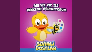 Arı Vız Vız İle Renkleri Öğreniyorum [upl. by Yule]