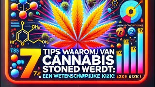 7 Tips Waarom Je van Cannabis Stoned Wordt Een Wetenschappelijke Kijk [upl. by Ocramed47]