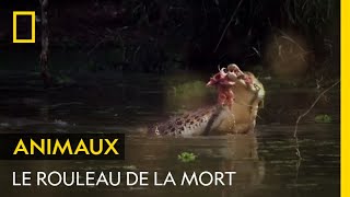 Le rouleau de la mort du crocodile [upl. by Eidnalem725]