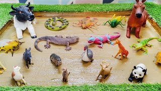 Farm Animals Pet Animals and Insects Adventure in Sandbox  Learning with Laughter [upl. by Anitsugua538]