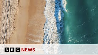 Can 3D printed sea walls protect marine wildlife in Miami  BBC News [upl. by Jak331]