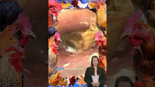 ear wax removal Satisfying Video Reaction usa earwaxremoval trendingvideo earrings [upl. by Notyad]