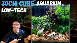 30CM CUBE LOWTECH AQUARIUM [upl. by Atiuqad175]