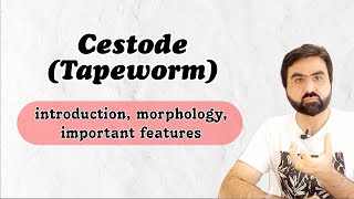 Lec12  Introduction to Cestode  General Biology  Important features  Morphology  English [upl. by Reggi245]