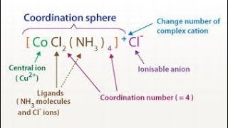 Lec10 Electroneutrality principle in Coordination Compounds [upl. by Hainahpez]