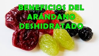 Arandano Deshidratado Beneficios para la Salud  Propiedades de los Arandanos Secos [upl. by Aleit]