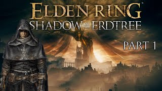 Return of The Dark Knight Hiro  Elden Ring Shadow of the Erdtree  Part 1 [upl. by Nnaycart379]