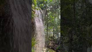 music biodome biodiversity tour montreal canada quebec nature reserve life cheflife [upl. by Giorgio]