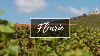 Georges Duboeuf  Episode 6  Fleurie [upl. by Esilec921]