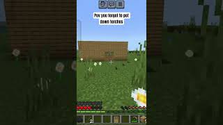 Minecraft Pov you forgot to pot down torchesminecraft minecraftshorts minecraftbuildingtutorial [upl. by Eerat]