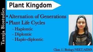 Plant Life Cycles  Haplontic Diplomatic amp Haplodiplontic Life Cycles  Alternation of Generation [upl. by Aribold]