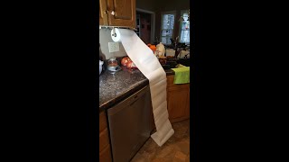 Paper Towel Holder Hack To Stop Runaway Rolls [upl. by Harv]