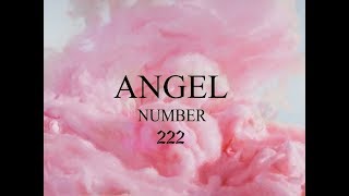 Angel Number 222 Attunement  Soulmate Love  Omniminal [upl. by Liebowitz674]