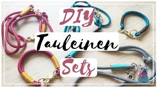 DIY TAULEINE  TAUHALSBAND für den HUND  frauchensliebling [upl. by Antonina]