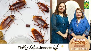 Safe Effect Way To Kill Cockroaches  Kitchen Hack  Master Class  Masala Morning  Home Remedies [upl. by Thorrlow]