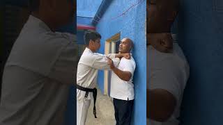 Martial Arts self defence pressure points tipsmartialarts karate attack ikido kungfu defence [upl. by Ekaterina531]