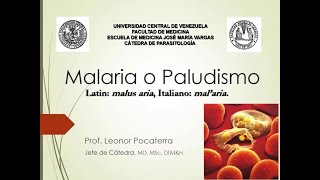 Malaria  Paludismo 2  Catedra Parasitología EJMV UCV [upl. by Litha]