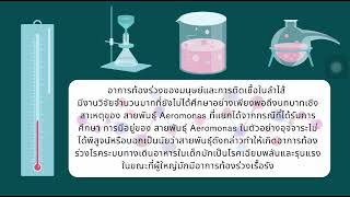 เเบคทีเรีย Aeromonas [upl. by Ewens]