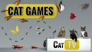 CAT Games  Ultimate Cat TV Bugs and Butterflies Compilation Vol 4 🪲 🐞🦋🦗🐜  Videos For Cats to Watch [upl. by Rodman]