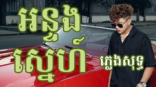 អន្ទងស្នេហ៍ ភ្លេងសុទ្ធ  Ontong Sne karaoke [upl. by Melliw5]