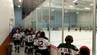 Kachinas 16U Red vs Dallas Stars [upl. by Tillo711]