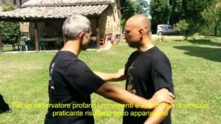 Marcello Sidoti free push hands basics [upl. by Ahsek]