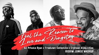 Feel the Reason to Love amp Dingolay  DJ Private Ryan x Freetown Collective x Erphaan Alves x Kes [upl. by Ruggiero]