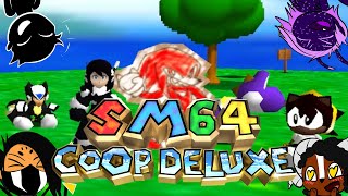 SM64 Coop but We Play it Wrong [upl. by Einavoj]