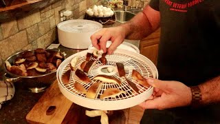 Testing the Cheapest food dehydrator on Amazonlets try mushrooms [upl. by Gualterio]