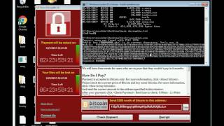 WanaKiwi WannaCry Ransomware Decryption Tool [upl. by Denyse]