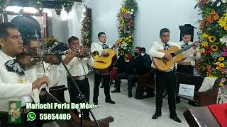 Mariachi en Tultepec [upl. by Rebma159]