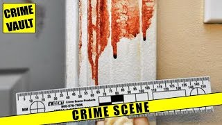 Man goes nuts and rips out girlfriends intestines Crime scene photos  911 call  Police Interview [upl. by Zzabahs348]