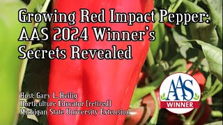 Growing Red Impact Peppers AAS 2024 Winner Secrets Revealed for the Enthusiastic Gardener [upl. by Domeniga386]