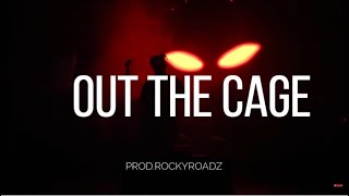 Out the Cage  Juice WRLD Lyrics [upl. by Vig]