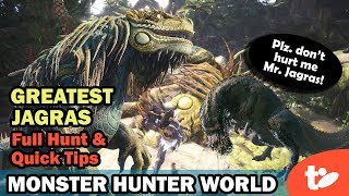 Wait Greatest Jagras Can Beat Deviljho Quick Tips  Full Hunt w HBG amp GS [upl. by Adni874]