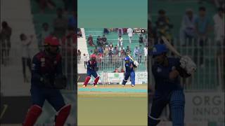 Panthers vs dolphins match short highlights 2024 cricket viralvideo viralshorts trending reels [upl. by Ellehcyt]