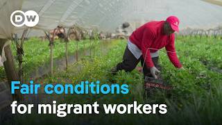 The fight against exploitation of migrant workers in Italy  DW Documentary [upl. by Melicent552]