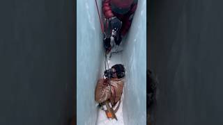 The man fall 60m down into Crevasse Rescue on MountEverest ytshorts youtubeshorts travel reels [upl. by Carey734]