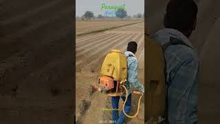 Herbicide Remove by 2nd Spray on Potatoes cpri farming khokiyabiotech [upl. by Ellevehs]