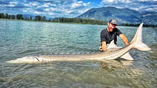 Ich fange den größten Fisch der Welt im Süßwasser [upl. by Humfrey604]