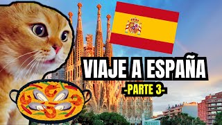 VIAJE A ESPAÑA  parte 3 meme de gatos [upl. by Naimaj765]