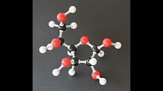 Biological molecules  condensation amp hydrolysis [upl. by Ijic]