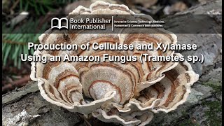 Production of Cellulase and Xylanase Using an Amazon Fungus Trametes sp [upl. by Ethyl]