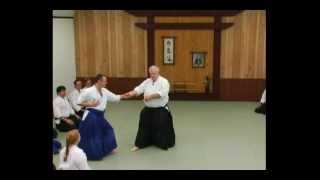 Aikido  Principles of the quotEntryquot  G Ledyard  DVD Sample Clip [upl. by Mcwilliams]