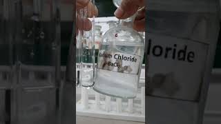 Barium chloride test for sulphate ion and Phosphate ion [upl. by Raddie623]