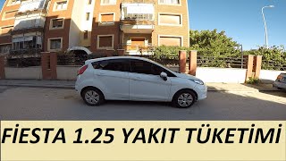 Ford Fiesta 125 Yakıt Tüketimi Benzin  Fuel Consumption [upl. by Nerok]