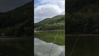 Bovansko jezero feeder fishing [upl. by Ameer]