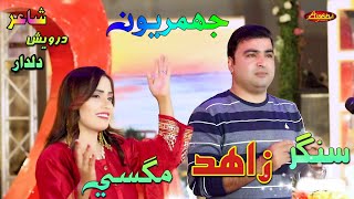 Jhumiryun Haran Lae Full Video Zahid Magsi  Ayan Gold [upl. by Reyam]