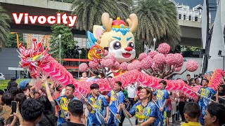 Auspicious Dragon Dance Performance Chinese New Year 2024 Vivocity Singapore [upl. by Ainevuol987]